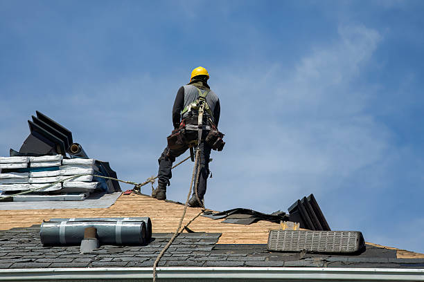 Professional Storm Damage Roof Repair technician working in Taylor Ridge, IL